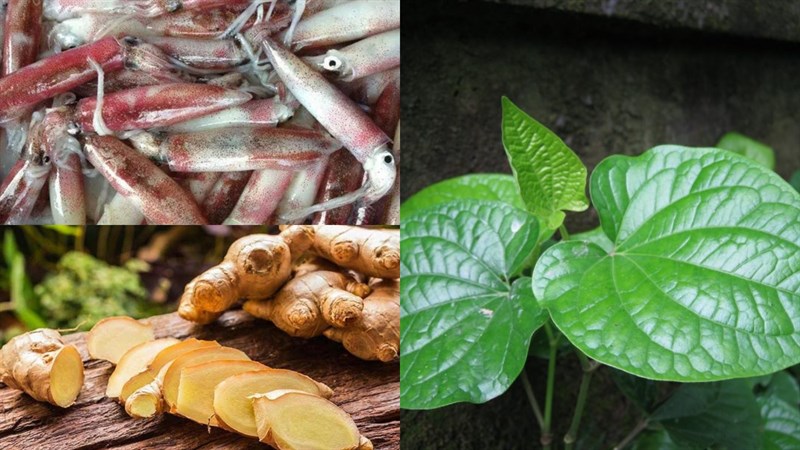 Nguyên liệu món ăn 3 cách làm mực trứng (mực sữa) hấp