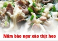 nambaonguxaothitheo 1200x676 1