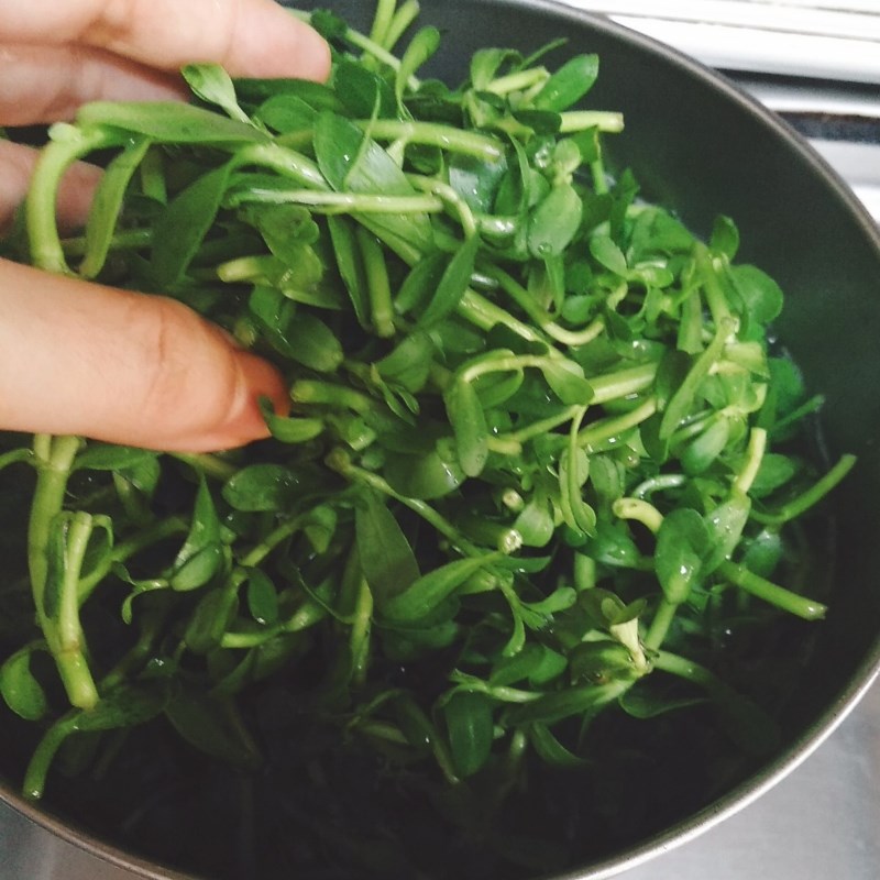 Bước 2 Nấu canh rau đắng với tôm Canh rau đắng nấu tôm