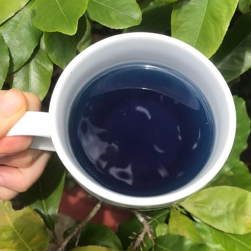 Bước 1 Ngâm hoa đậu biếc Trà hoa đậu biếc chanh