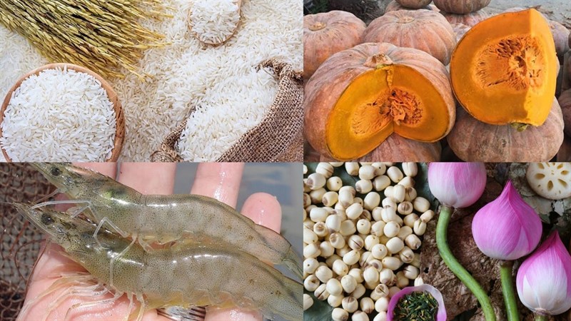 Nguyên liệu món ăn cháo tôm bí đỏ
