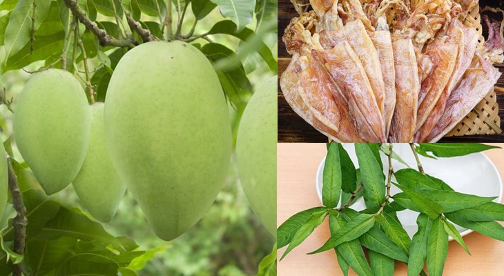 Nguyên liệu món ăn gỏi xoài khô mực
