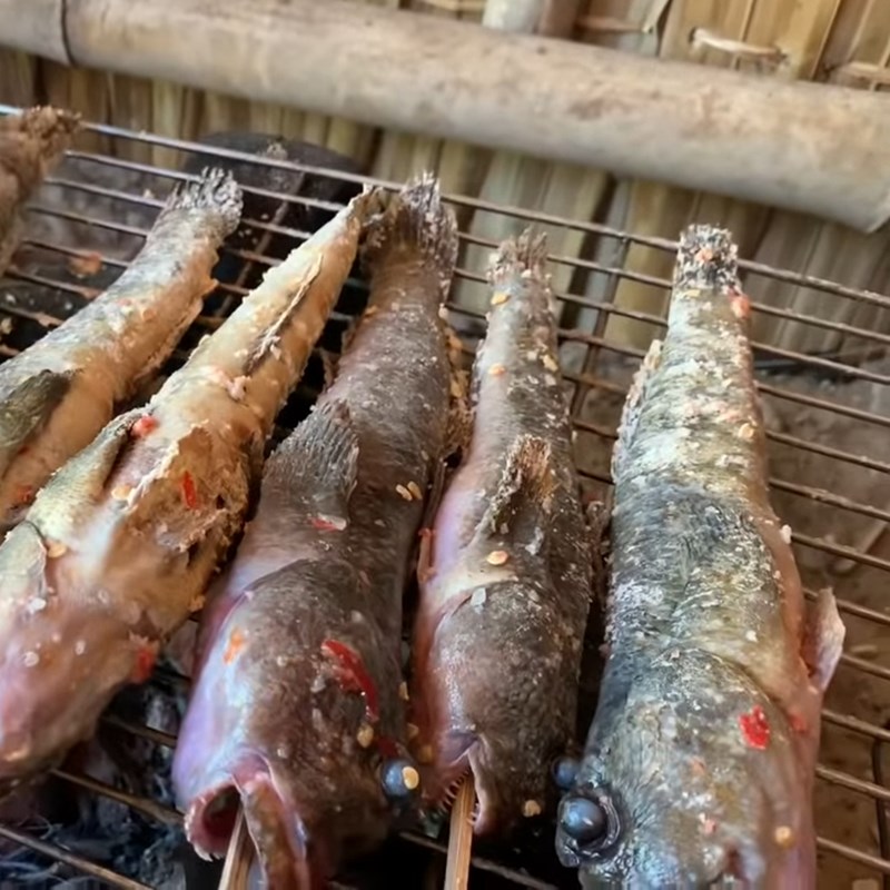 Bước 3 Nướng cá Cá thòi lòi nướng muối ớt