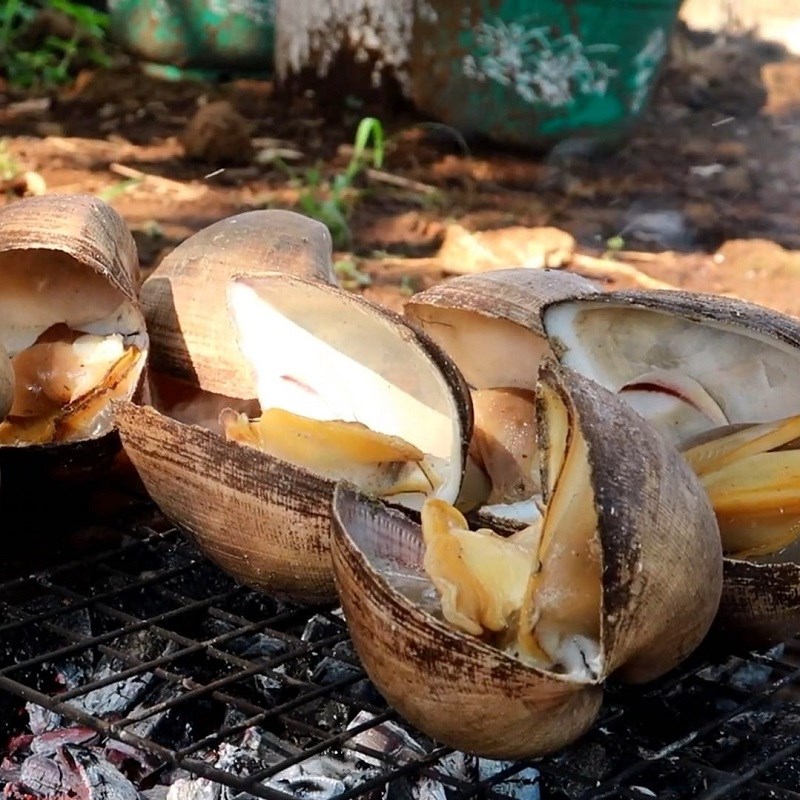 Bước 3 Nướng sò sữa Sò sữa nướng mọi