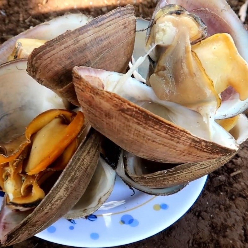 Bước 3 Nướng sò sữa Sò sữa nướng mọi