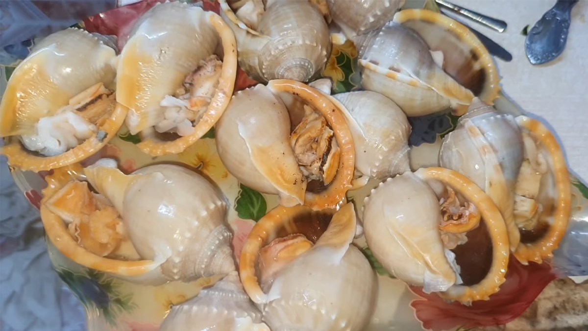 Ốc tỏi nướng nước mắm