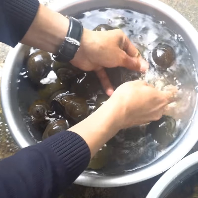Bước 1 Sơ chế và luộc ốc bươu Ốc bươu nướng tiêu đen