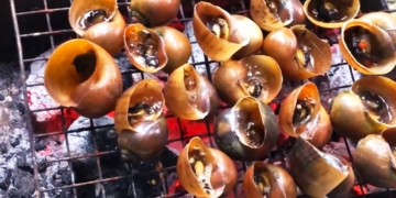 ocbuounuongnuocmam 1200x676 1