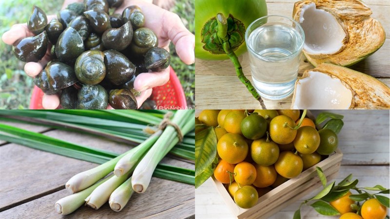 Nguyên liệu món ăn ốc hấp sả nước dừa