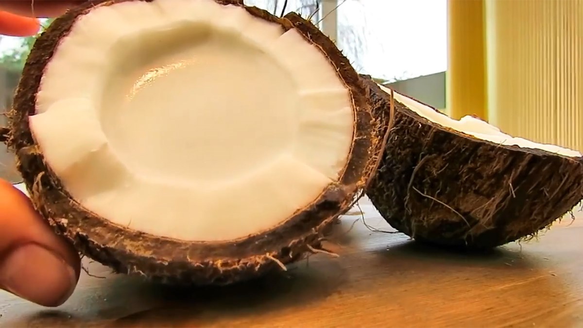 Pudding trái dừa