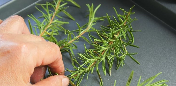 Bước 2 Sấy hương thảo bằng lò Sấy hương thảo khô