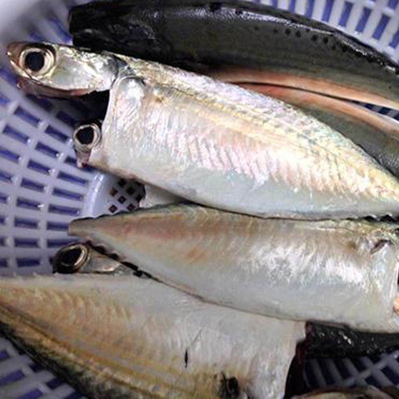 Bước 1 Sơ chế cá Cá bạc má kho tiêu