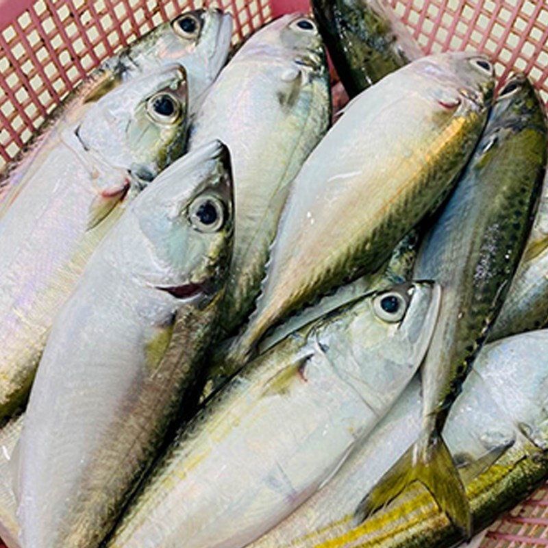 Bước 1 Sơ chế cá Cá bạc má kho lạt