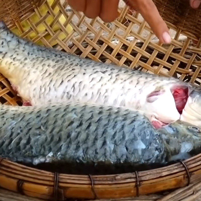 Bước 1 Sơ chế cá chép Cá chép nướng nghệ