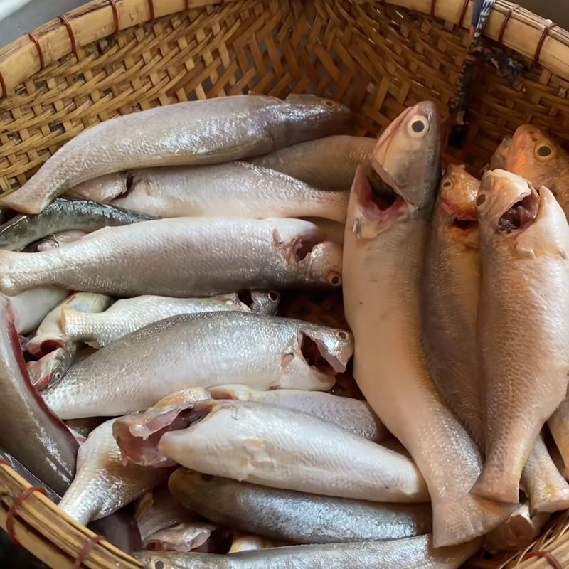 Bước 1 Sơ chế cá đù Cá đù kho khô