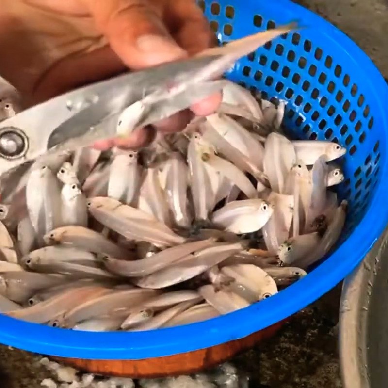 Bước 1 Sơ chế cá mai Canh chua cá mai