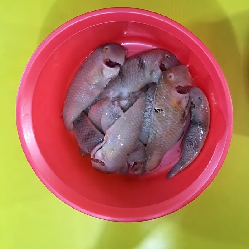 Bước 1 Sơ chế cá mó Cá mó chiên giòn