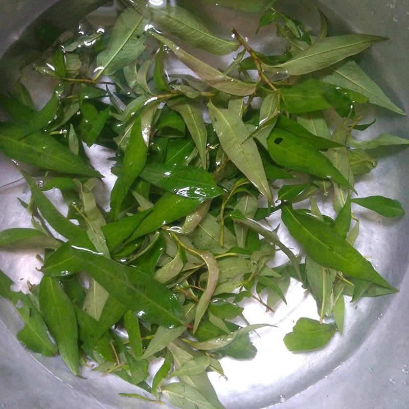 Bước 1 Sơ chế các nguyên liệu Đậu hũ hấp rau răm
