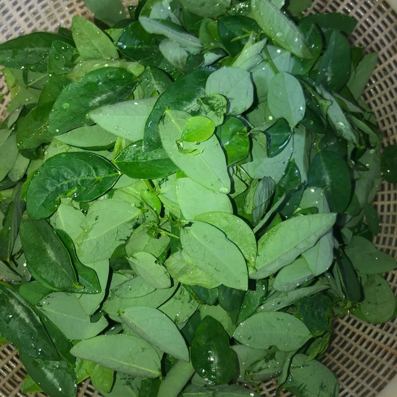 Bước 1 Sơ chế các nguyên liệu Canh rau ngót nấu tôm khô