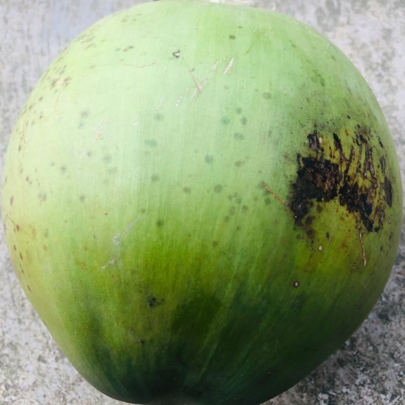 Bước 1 Sơ chế các nguyên liệu Cà phê nước dừa tươi