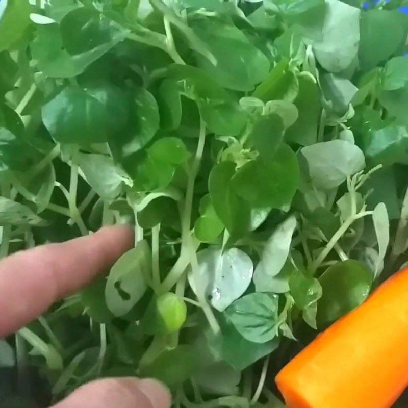 Bước 2 Sơ chế các nguyên liệu còn lại Gỏi rau càng cua ức vịt