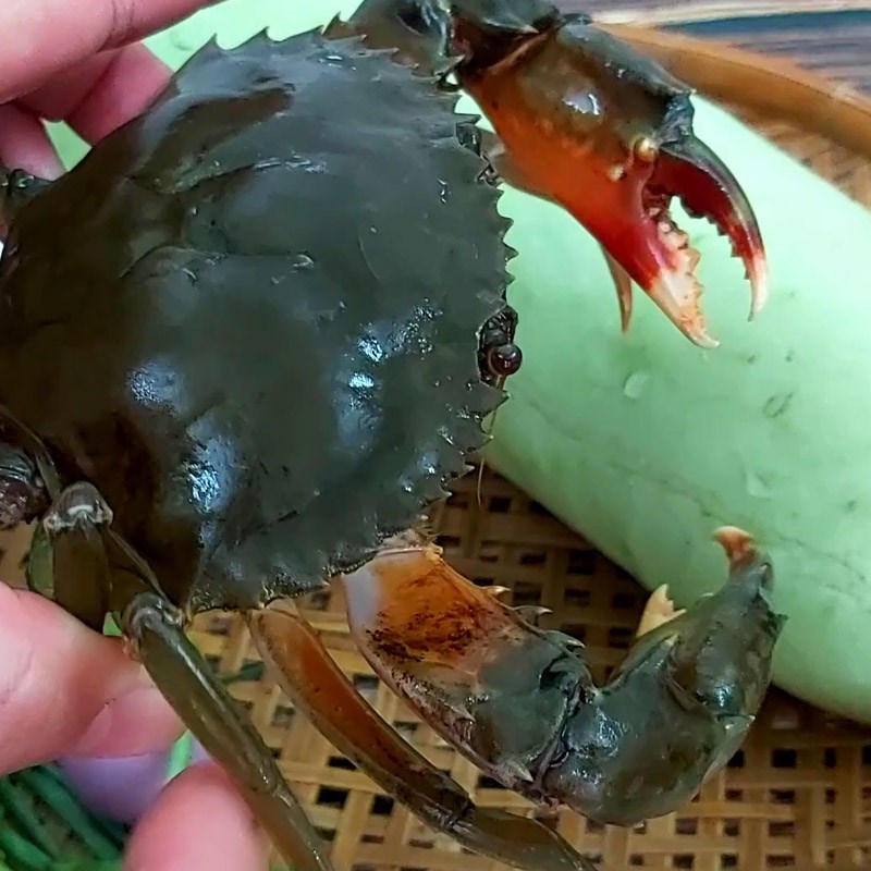 Bước 1 Sơ chế cua biển Canh cua biển nấu bầu