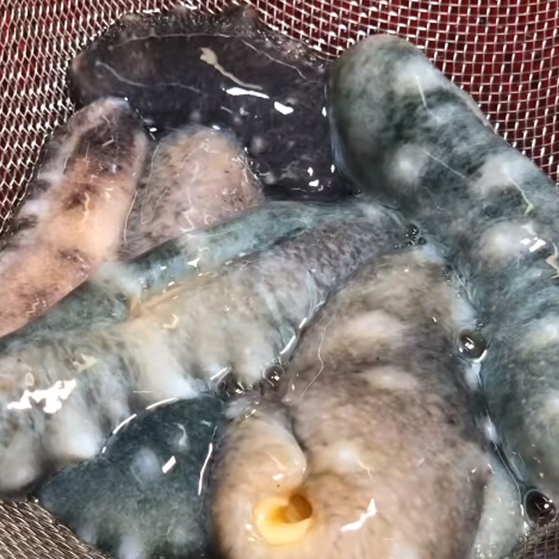 Bước 2 Sơ chế hải sâm Cách làm súp bào ngư vi cá