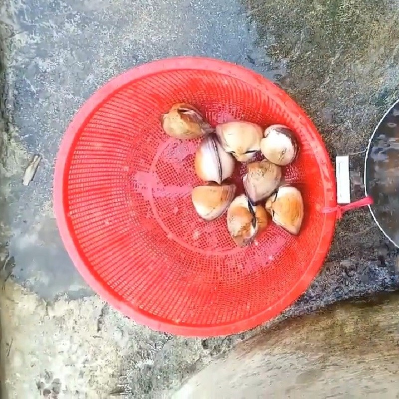 Bước 1 Sơ chế nguyên liệu Sò sữa nướng mỡ hành