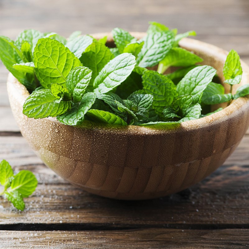 Bước 1 Sơ chế nguyên liệu Mojito việt quất