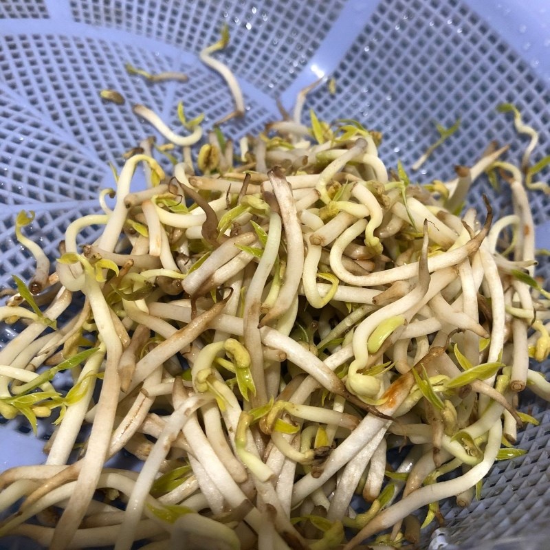 Bước 1 Sơ chế nguyên liệu Cháo sò lông hạt sen