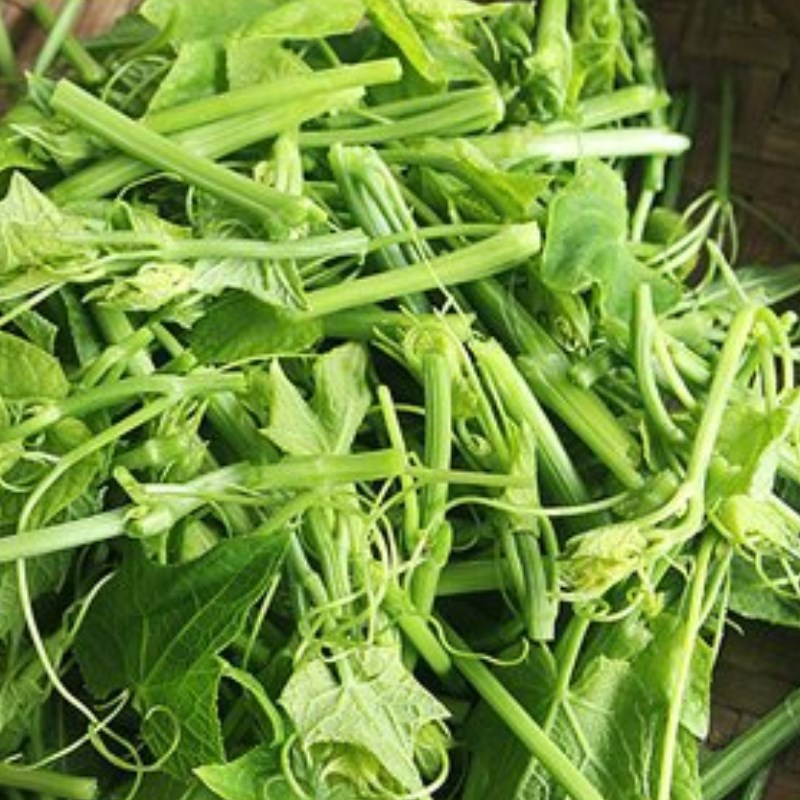Bước 1 Sơ chế nguyên liệu Rau bầu xào tỏi