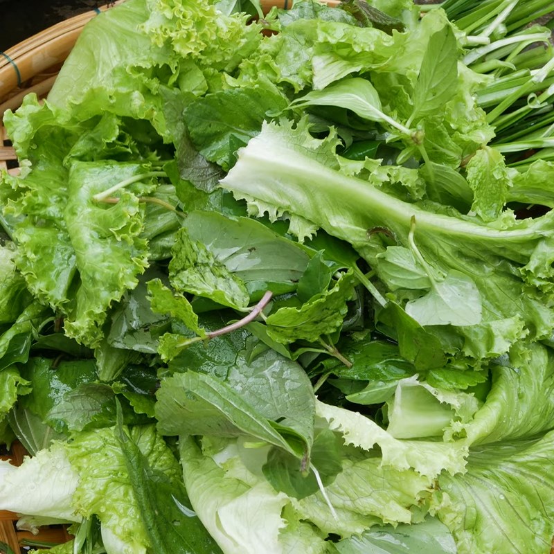 Bước 1 Sơ chế nguyên liệu Cá lòng tong chiên bột
