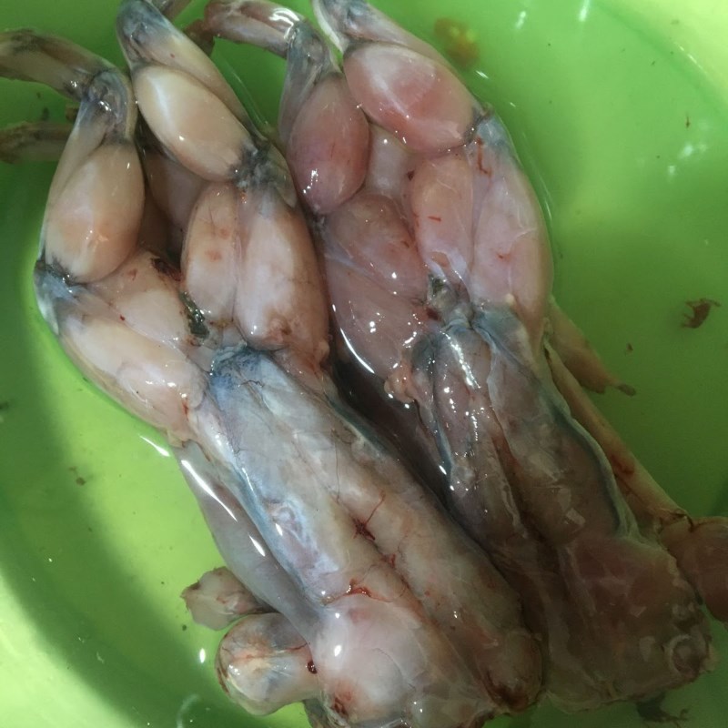 Bước 1 Sơ chế nguyên liệu Ếch kho sả ớt