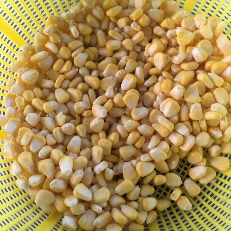 Bước 1 Sơ chế nguyên liệu Bắp chiên trứng