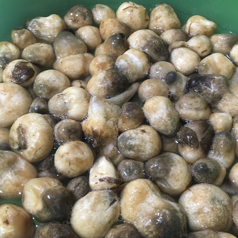 Bước 2 Sơ chế nguyên liệu khác Nấm rơm xào thịt heo (công thức được chia sẻ từ người dùng)