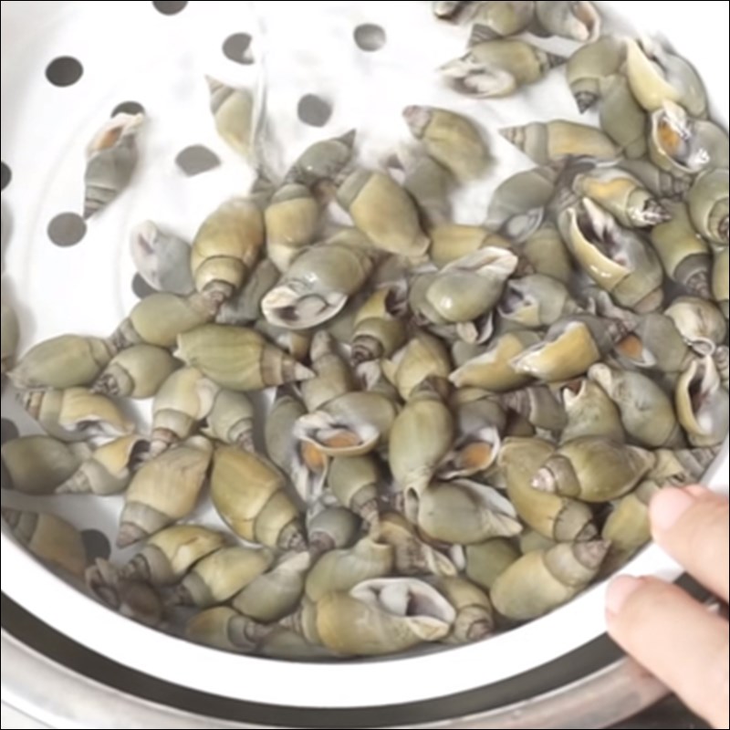 Bước 1 Sơ chế ốc Ốc cà na xào sả ớt