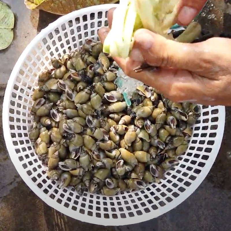 Bước 1 Sơ chế ốc cà na Ốc cà na hấp sả