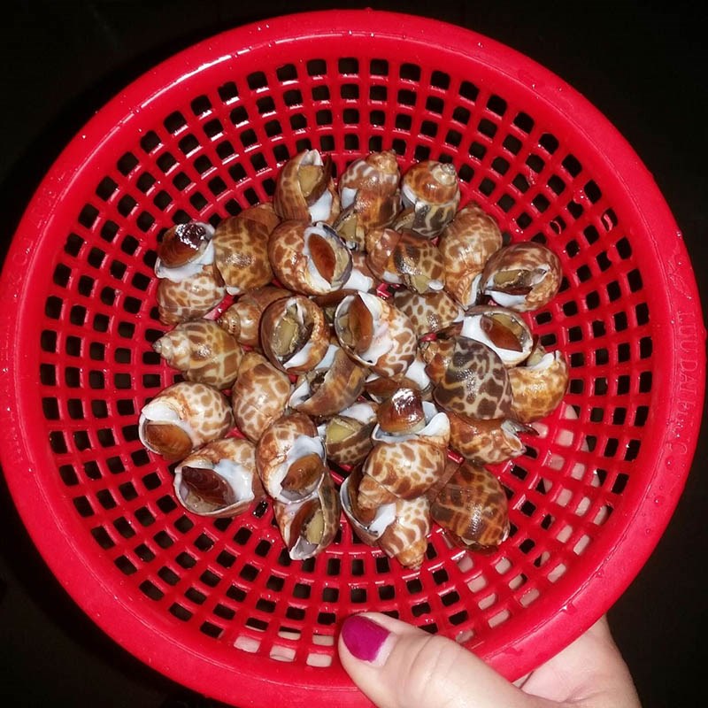 Bước 1 Sơ chế ốc hương Ốc hương xào bơ tỏi (Công thức được chia sẻ từ người dùng)