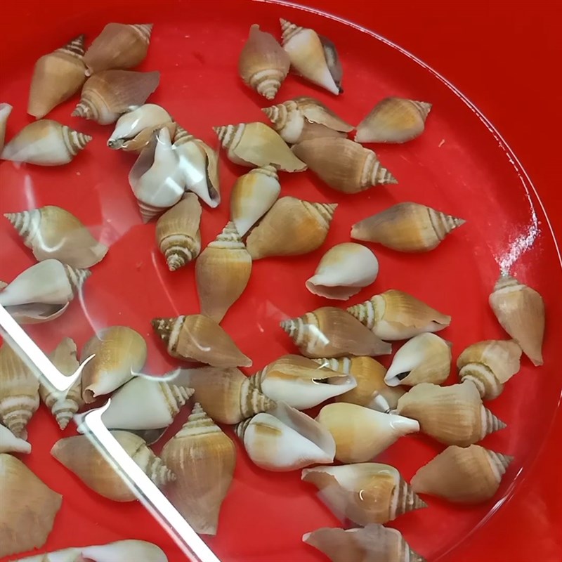 Bước 1 Sơ chế ốc nhảy Ốc nhảy hấp sả