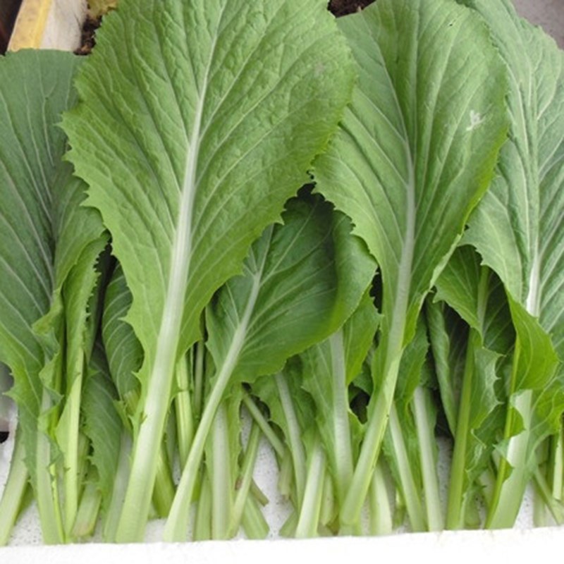 Bước 1 Sơ chế rau cải Bò nướng cuốn cải xanh