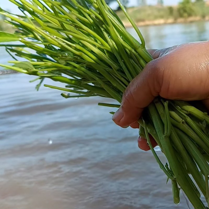 Bước 1 Sơ chế rau muống Kim chi rau muống