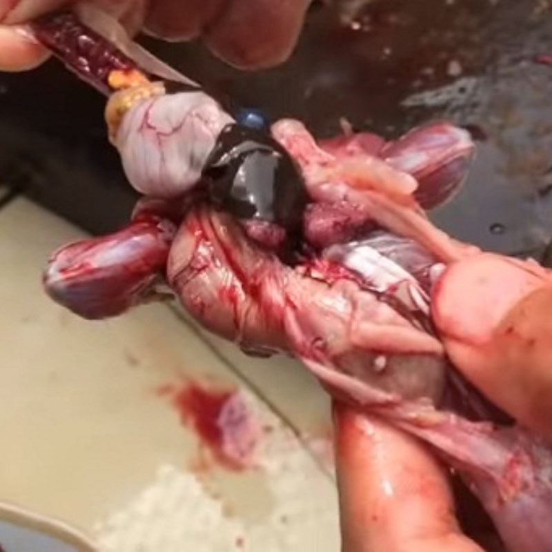 Bước 1 Sơ chế thịt ếch Măng trúc xào ếch