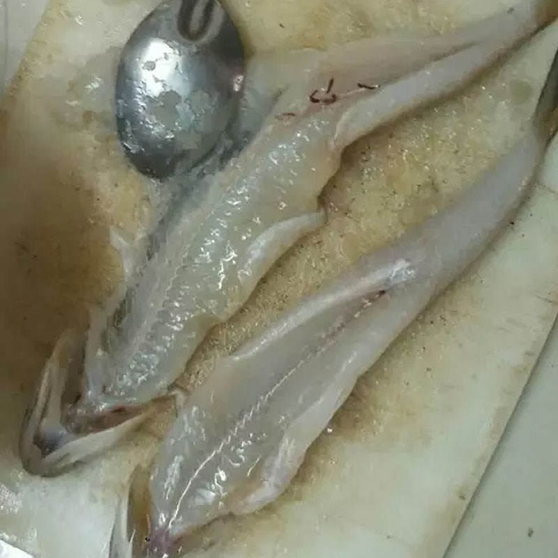 Bước 1 Sơ chế và lóc phi lê cá Chả cá mối