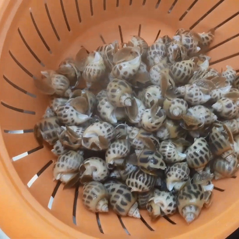 Bước 2 Luộc ốc Ốc hương xào sả ớt
