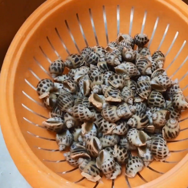 Bước 1 Ngâm và rửa ốc Ốc hương xào sả ớt