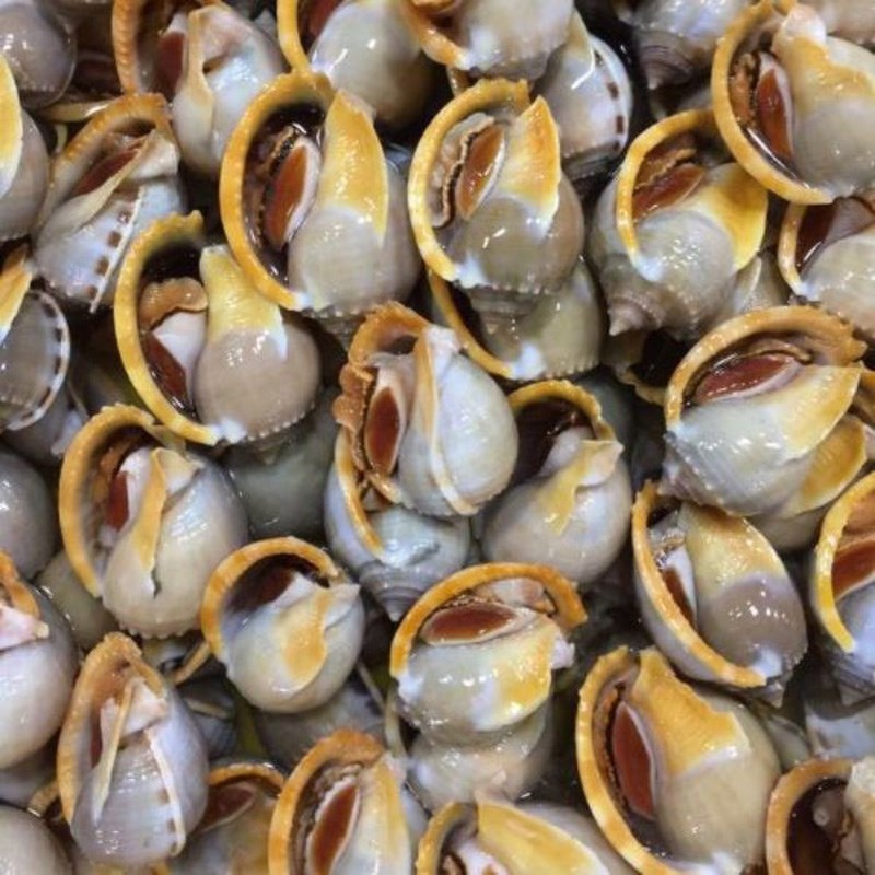 Bước 1 Sơ chế ốc Ốc tỏi nướng nước mắm