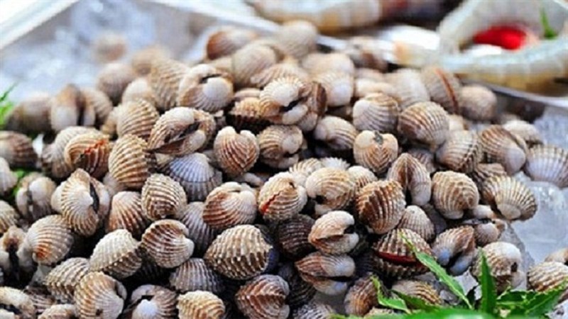 Nguyên liệu món ăn sò huyết nướng mỡ hành, nướng mọi và giấy bạc