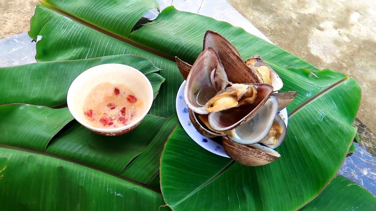 Sò sữa nướng mọi