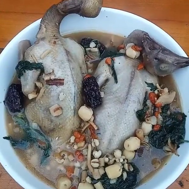 Bước 4 Thành phẩm Chim bồ câu hầm thuốc bắc