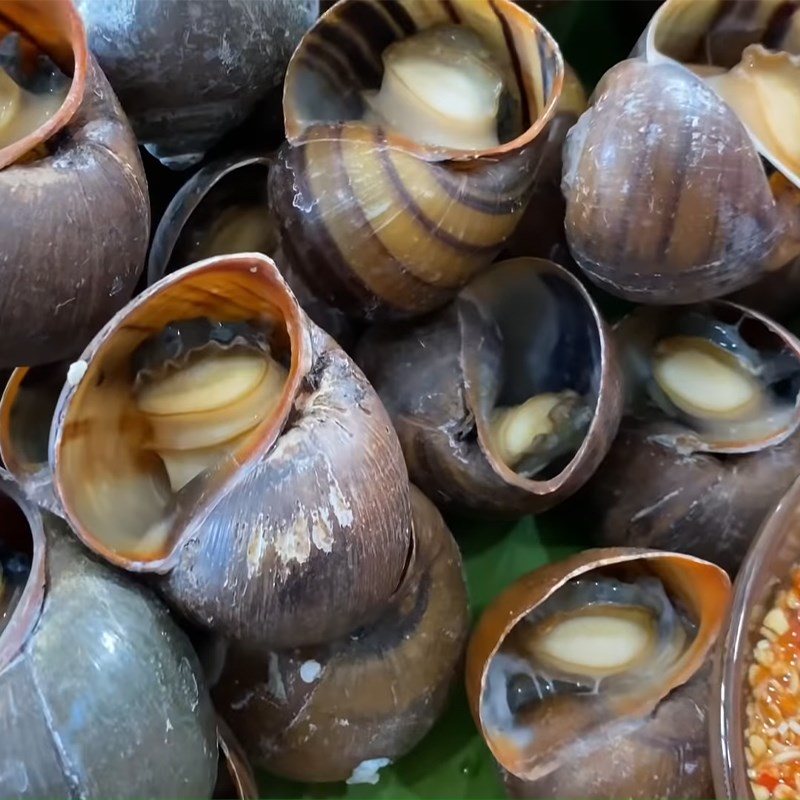 Bước 5 Thành phẩm Ốc lác hấp sả chấm nước mắm cay